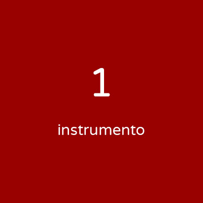 Personalizada - 1 instrumento