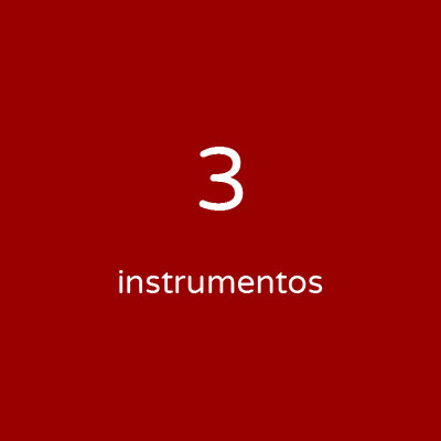 Personalizada - 3 instrumentos