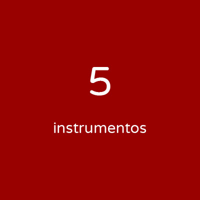 Personalizada - 5 instrumentos