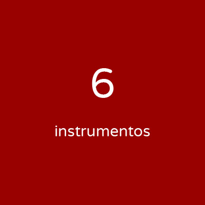 Personalizada - 6 instrumentos