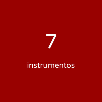 Personalizada - 7 instrumentos