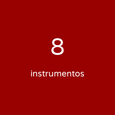 Personalizada - 8 instrumentos